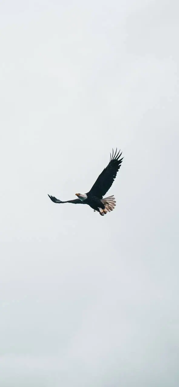 Hero img 0